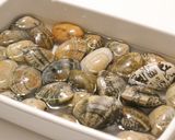 あさりと生わかめの春スープ作り方1写真