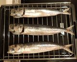 マイワシの丸干し作り方4写真