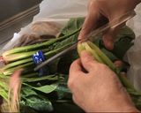 葉野菜を長期間新鮮なまま保存する方法作り方3写真