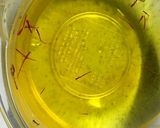 家にある野菜でパエリア作り方1写真