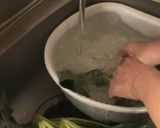 葉野菜を長期間新鮮なまま保存する方法作り方5写真
