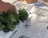 葉野菜を長期間新鮮なまま保存する方法作り方7写真