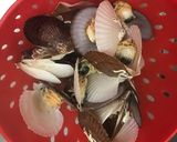 新物始まりました!!稚貝で干しほたて作り方3写真