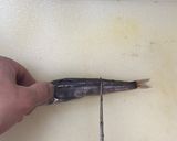 脂がじゅわ〜 自家製干物 めひかりの開き作り方1写真