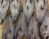 脂がじゅわ〜 自家製干物 めひかりの開き作り方6写真
