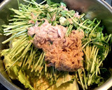 超簡単！白菜と豆苗のツナ蒸し煮♪作り方2写真