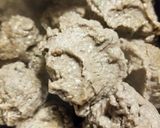 しこいわしの梅つみれ作り方5写真