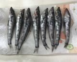 脂のりのり！自家製干物めひかりの丸干し作り方2写真