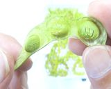 食品乾燥機で枝豆ジャーキーの作り方作り方8写真