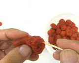 食品乾燥機ドラミニで干し梅の作り方作り方3写真