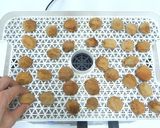 食品乾燥機ドラミニで干し梅の作り方作り方19写真