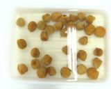 食品乾燥機ドラミニで干し梅の作り方作り方17写真