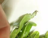 京壬生菜の浅漬け作り方2写真
