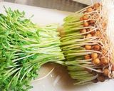 新玉ねぎと豆苗のすっぱ辛炒め作り方5写真