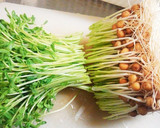 新玉ねぎと豆苗のすっぱ辛炒め作り方5写真