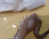 イカの一夜干しと里芋のみりん煮作り方11写真