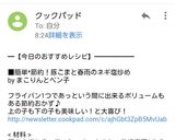 簡単＊節約！豚こまと春雨のネギ塩炒め作り方13写真