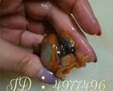 赤貝の剥き方作り方6写真