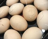 ゆで卵☆水から茹でる半熟卵！作り方6写真