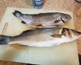 ビッググリーンエッグで焼き魚作り方1写真
