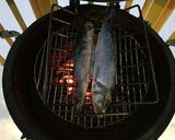 ビッググリーンエッグで焼き魚作り方3写真