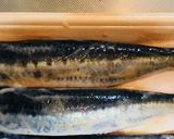 塩酒粕とコチュジャンで♪鰯のシソ挟み焼き作り方2写真