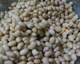 Home-Made もろみ味噌2008作り方2写真