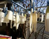 のれん干し大根作り方5写真