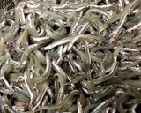母の味☆いかなごの釘煮作り方1写真