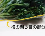 葉物野菜を簡単に袋から出す方法作り方1写真