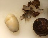 ✨ちぎり蒟蒻の塩麹煮✨作り方2写真