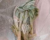 山ウド穂先天婦羅作り方1写真