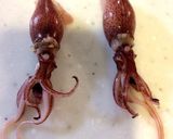 ホタルイカとほうれん草のガーリック炒め作り方2写真
