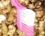 菊芋のぬか漬けならぬヨーグルト漬け作り方1写真