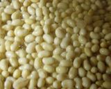 うちの甘い味噌作り方1写真