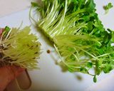 【最上級おもてなし酒のアテ】牡蠣のアレ作り方52写真