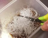 春雨戻し不要♡加熱レンジのみ!春巻きの具作り方3写真