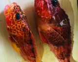 オニカサゴとアヤメカサゴの炙り作り方1写真