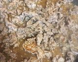 牛肉の生春巻き作り方1写真