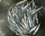 キビナゴの佃煮とお握らず作り方2写真