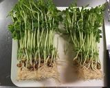 ☆豆苗と人参のしりしり☆作り方2写真