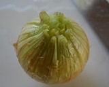 ＊新玉ねぎの丸ごと焼き＊作り方1写真