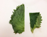 詰めて焼くだけ♪カニマヨちくわ☆作り方7写真