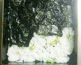 夜桜弁当作り方6写真
