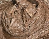 チョコケーキ (ビタクラフト簡単レシピ)作り方8写真