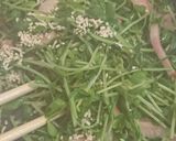 8分でもう1品！豆苗とベーコン炒め作り方3写真