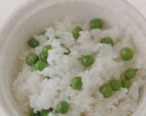 味つけごはんの基準作り方1写真