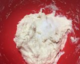 冷蔵発酵　クランベリーのリュスティック作り方4写真