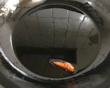 なすとミニトマトのペペロンチーノ作り方4写真