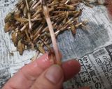 ごま香る土筆の甘辛炒め作り方3写真